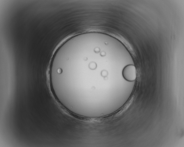 X0000102260814200807250836