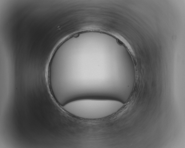 X0000102260815200807250836