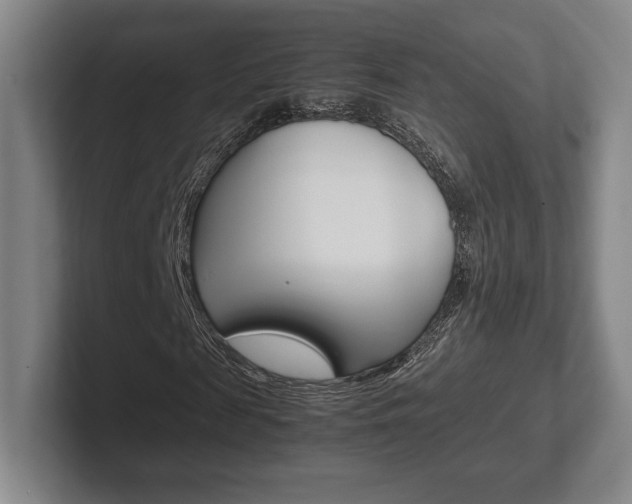 X0000102260817200807250836