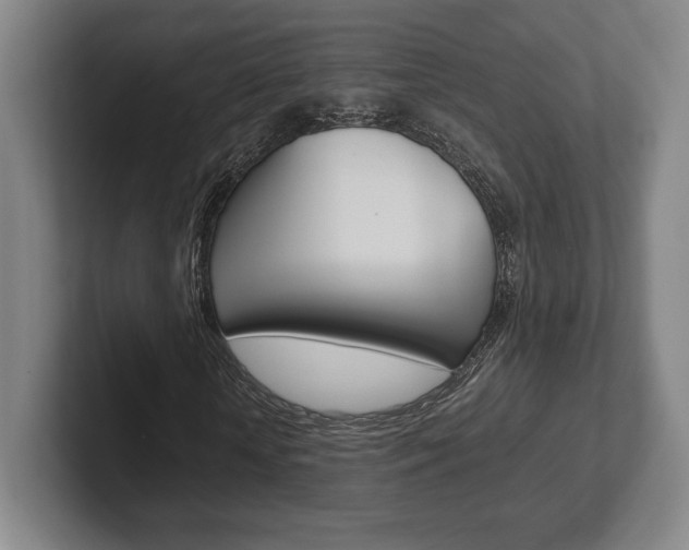 X0000102260818200807250836