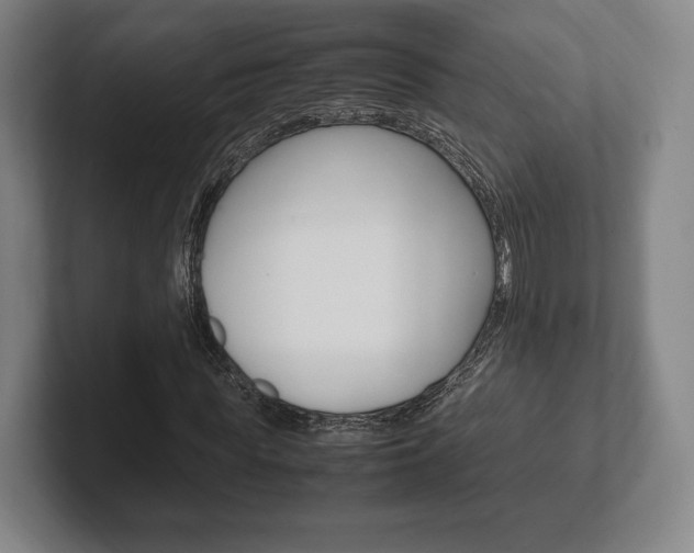 X0000102260819200807250836
