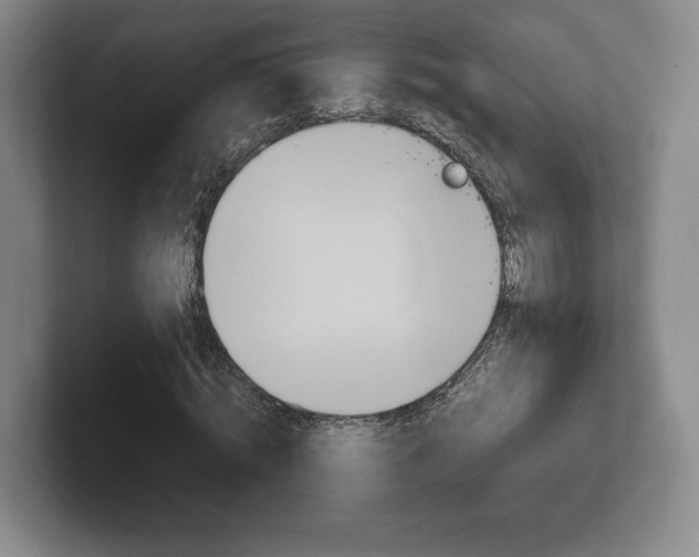 X0000102260820200807250836