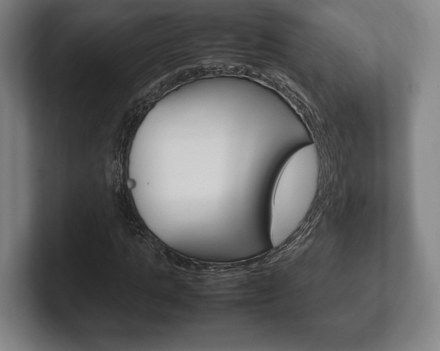 X0000102260821200807250836