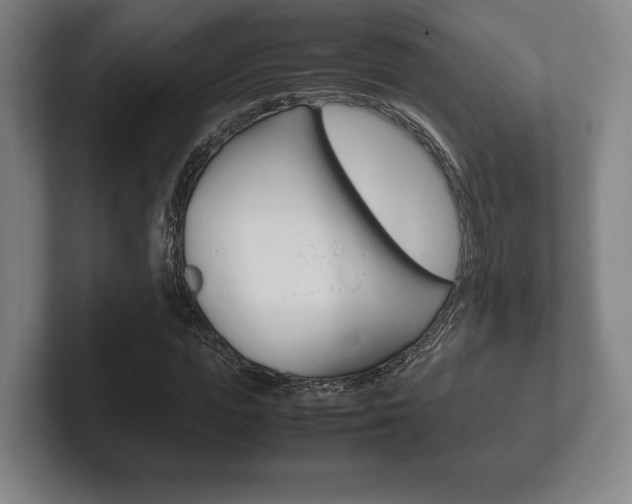 X0000102260823200807250836