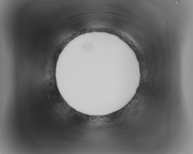 X0000102260824200807250836