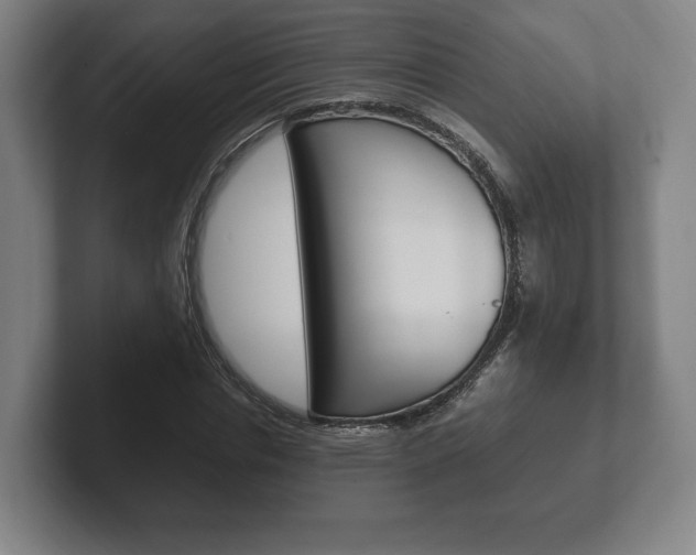 X0000102260826200807250836