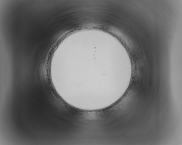 X0000102260828200807250836