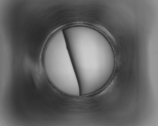 X0000102260831200807250836