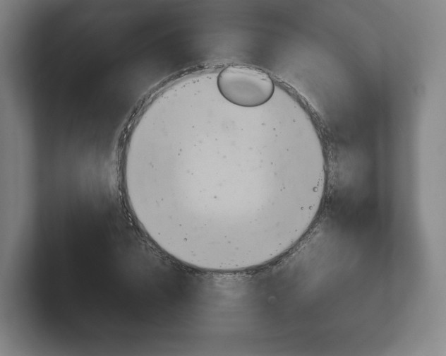X0000102260832200807250836