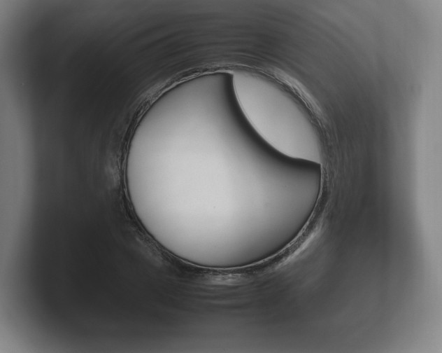 X0000102260833200807250836
