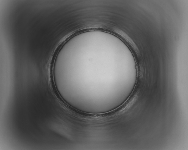 X0000102260834200807250836