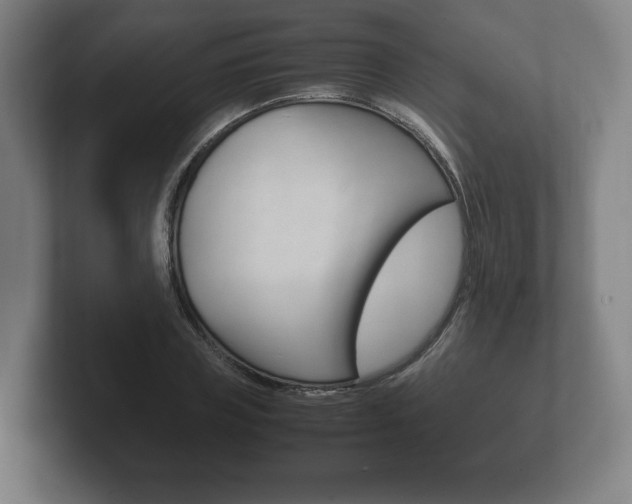 X0000102260835200807250836