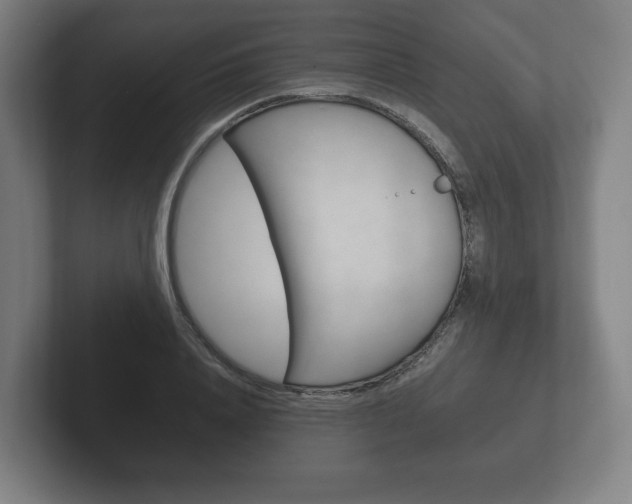 X0000102260840200807250836