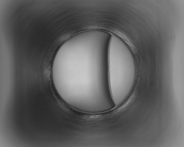 X0000102260841200807250836