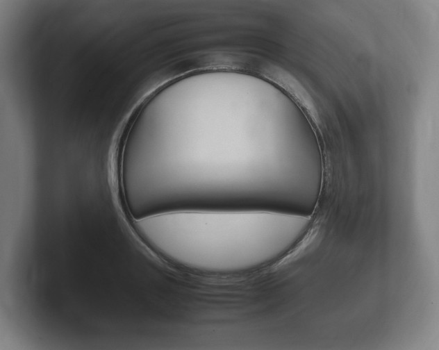 X0000102260843200807250836