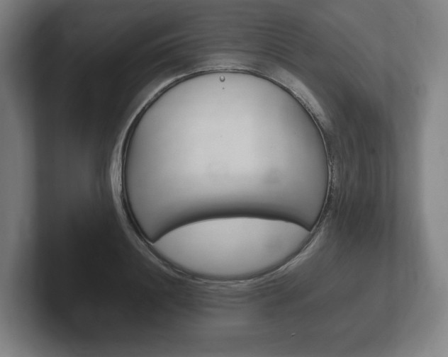 X0000102260844200807250836
