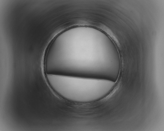 X0000102260845200807250836