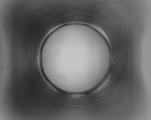 X0000102260847200807250836