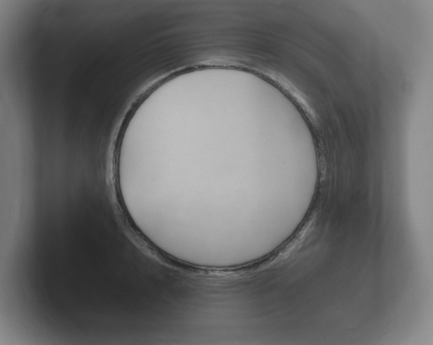 X0000102260848200807250836