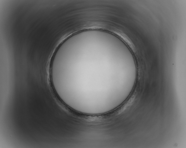X0000102260850200807250836
