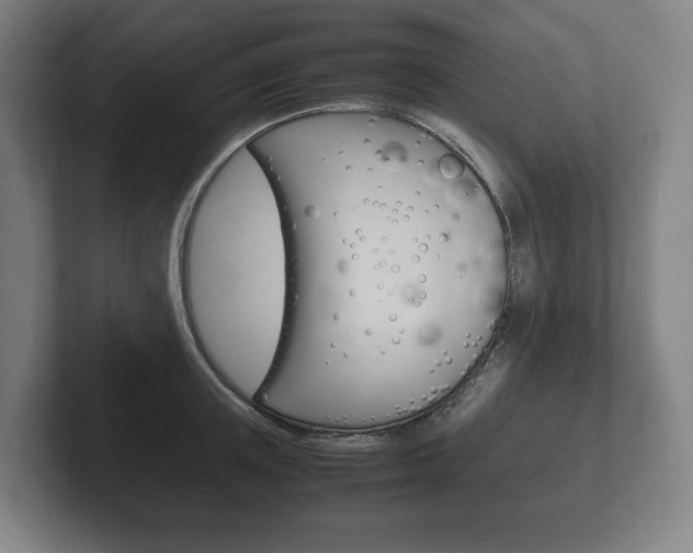 X0000102260851200807250836