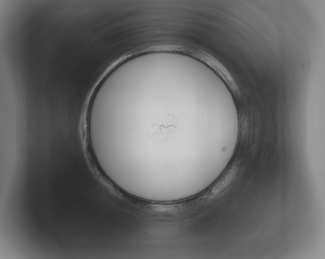 X0000102260852200807250836
