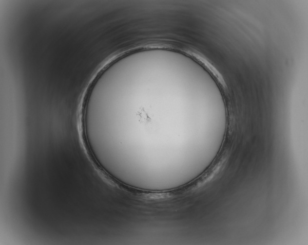 X0000102260853200807250836