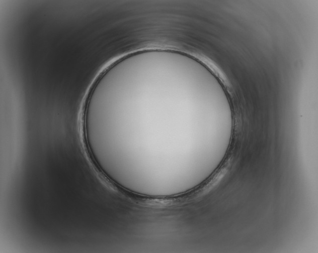 X0000102260854200807250836