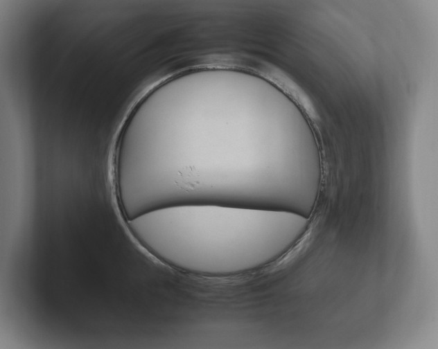 X0000102260855200807250836