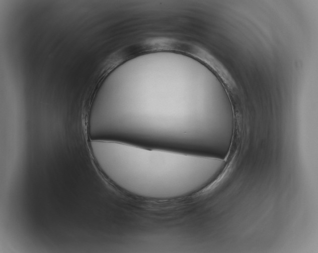 X0000102260857200807250836