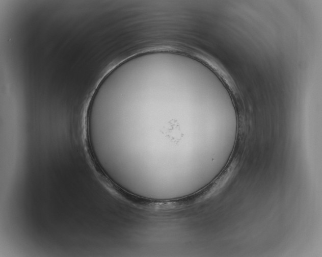 X0000102260858200807250836
