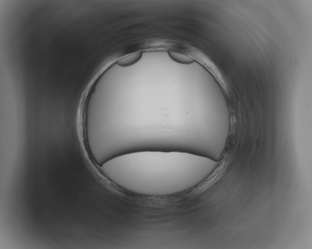 X0000102260859200807250836