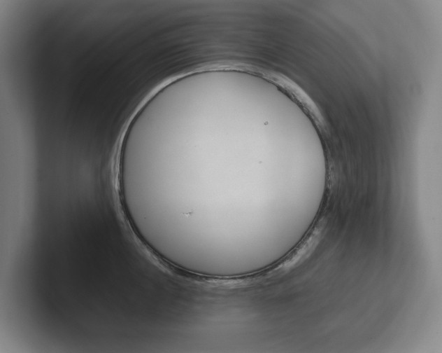 X0000102260860200807250836