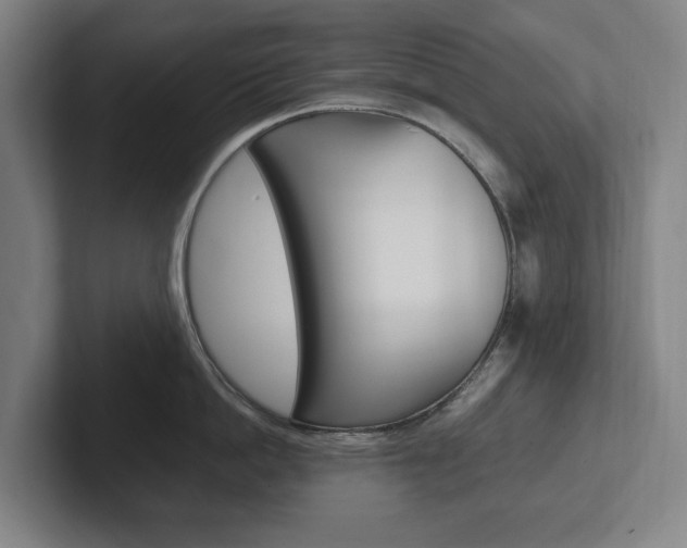 X0000102260862200807250836