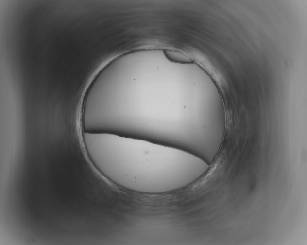 X0000102260863200807250836
