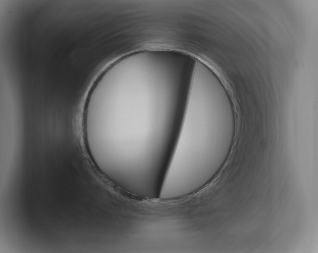 X0000102260864200807250836