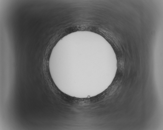 X0000102260865200807250836