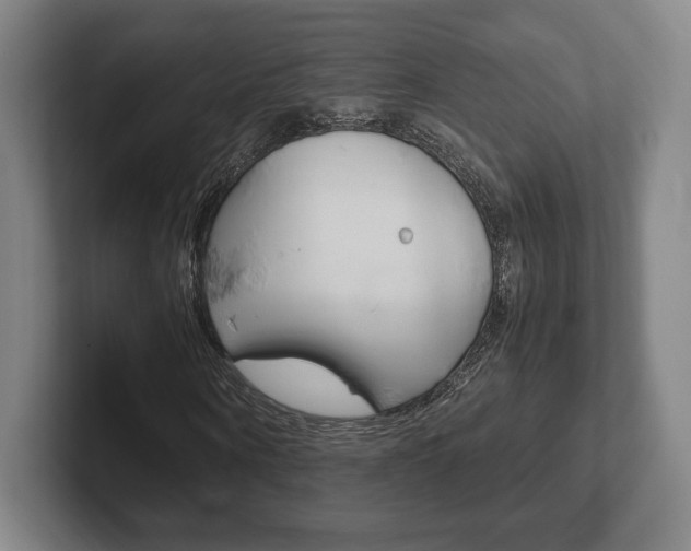 X0000102260866200807250836