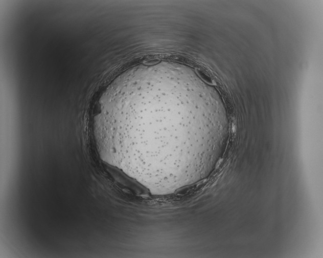 X0000102260867200807250836