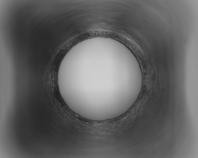 X0000102260870200807250836