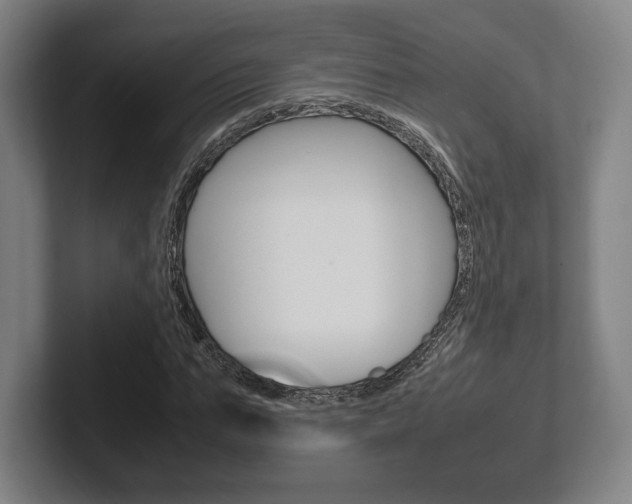 X0000102260871200807250836