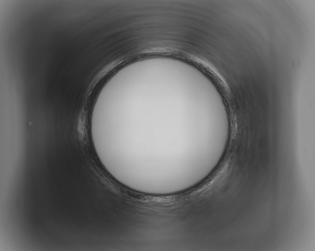 X0000102260874200807250835