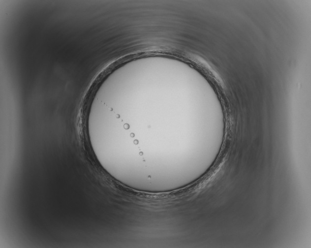 X0000102260875200807250835