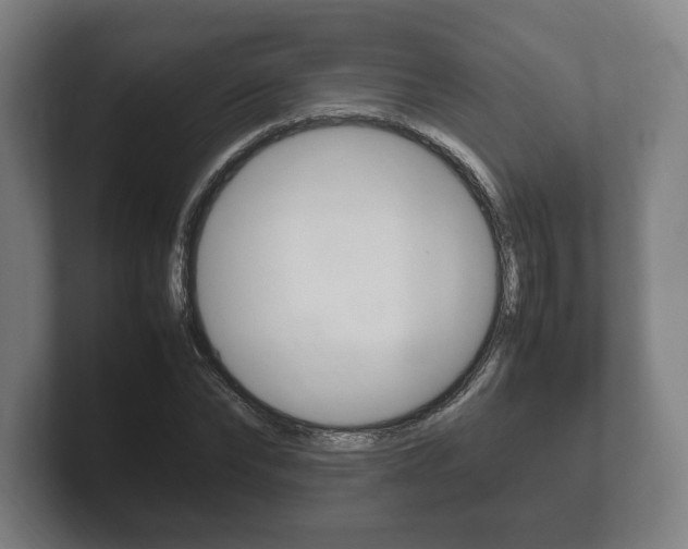 X0000102260878200807250835