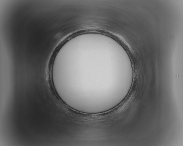 X0000102260879200807250835