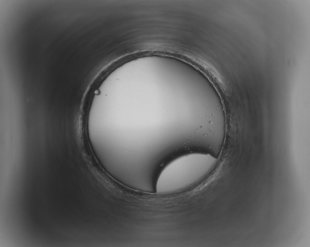 X0000102260880200807250835