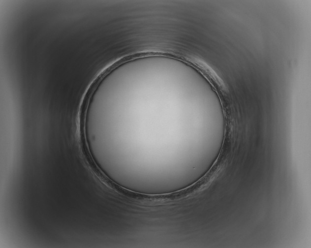 X0000102260884200807250835