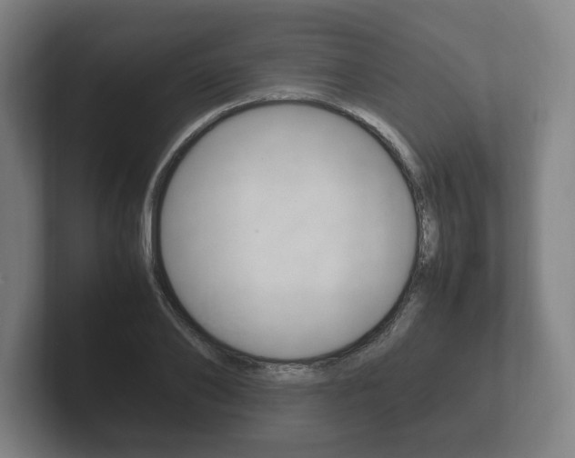X0000102260886200807250835