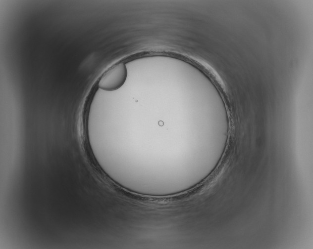 X0000102260887200807250835