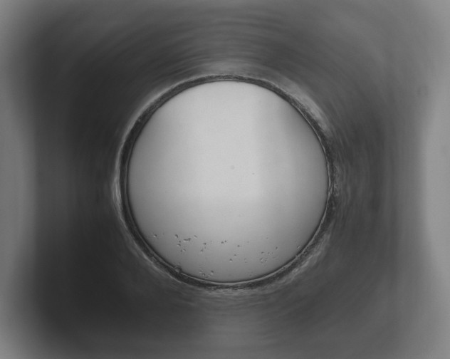 X0000102260888200807250835